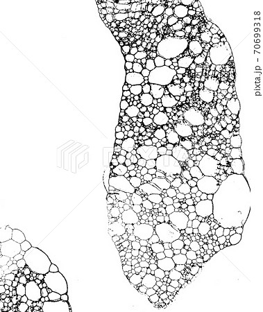 Vector grunge texture 63 Vector grunge texture 63 70699318
