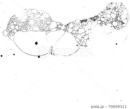 Vector grunge texture 60 Vector grunge texture 60 70699321