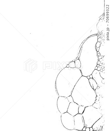 Vector grunge texture 61 Vector grunge texture 61 70699322