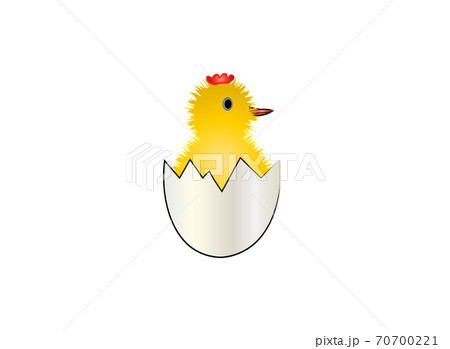 Drawing Of A Yellow Chicken In An Egg Shellのイラスト素材