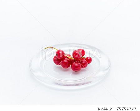 Branch of red currants in a glass plate on a white background 70702737