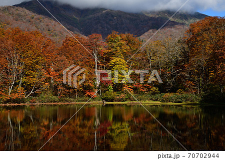 刈込池の紅葉の写真素材