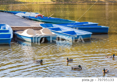 Blue plastic boats in the city pond Blue plastic boats in the city pond 70705133