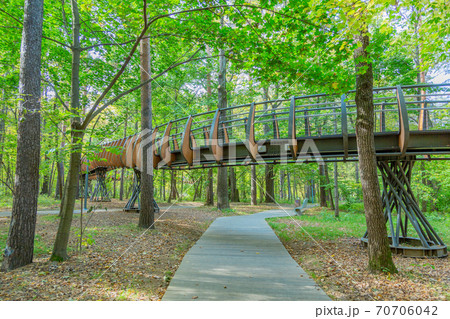 Path for pedestrians in the autumn park Path for pedestrians in the autumn park 70706042