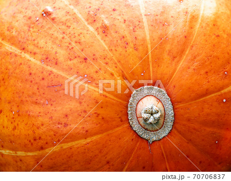 Close-up of orange pumpkin texture. Abstract autumn background, wallpaper, organic vegetarian food 70706837