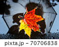 Single maple leaf in autumn colors in a puddle with reflection of alone faceless person holding umbrella on the background on wet street city asphalt. Mood, fall weather forecast concept 70706838