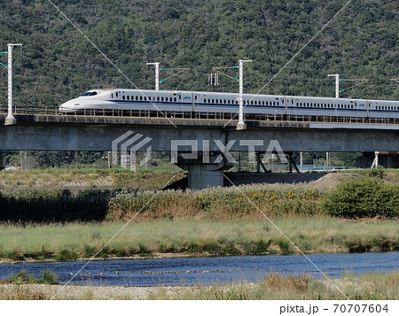 秋の山陽新幹線千種川橋梁　ススキの河原 70707604