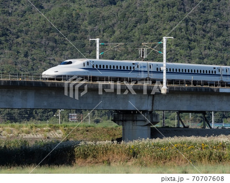 秋の山陽新幹線千種川橋梁　ススキの河原 70707608