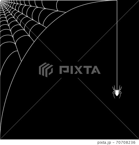 Spider web concept 70708236