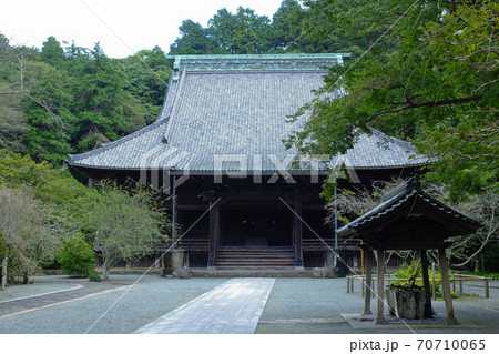 【鎌倉】妙本寺(みょうほんじ) 【鎌倉】妙本寺(みょうほんじ) 70710065