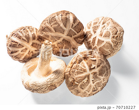 どんこ椎茸 70710227