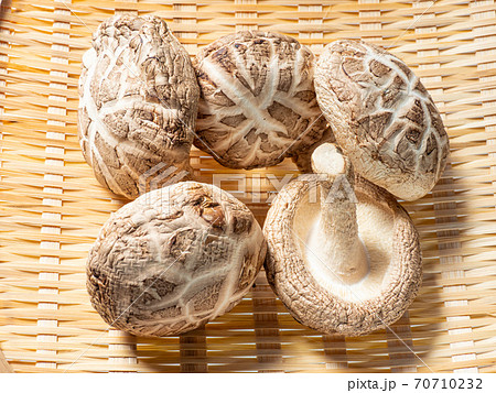 どんこ椎茸 どんこ椎茸 70710232