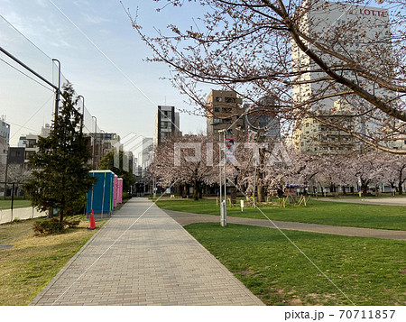 錦糸公園 桜(2020年3月) 錦糸公園 桜(2020年3月) 70711857
