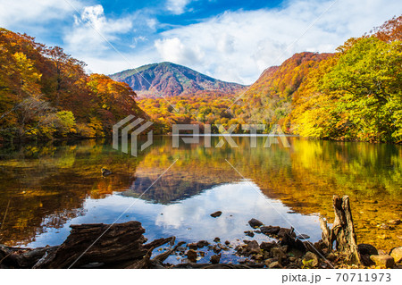 八甲田山の紅葉 透明度の高い水が美しい赤沼 八甲田山の紅葉 透明度の高い水が美しい赤沼 70711973