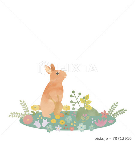春の野原のうさぎのイラスト素材