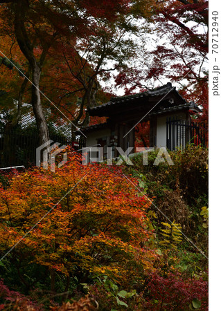 清閑寺の紅葉 清閑寺の紅葉 70712940