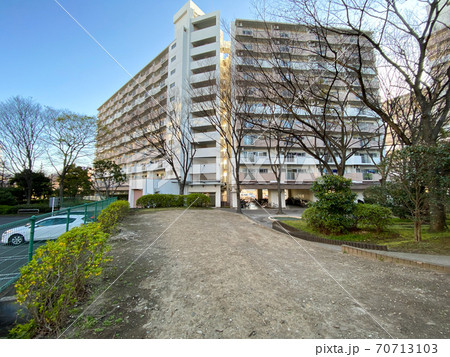 船堀一丁目　桜（2020年3月） 70713103