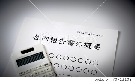 社内報告書の概要について 概要 会社 社内報告書の概要について 概要 会社 70713108