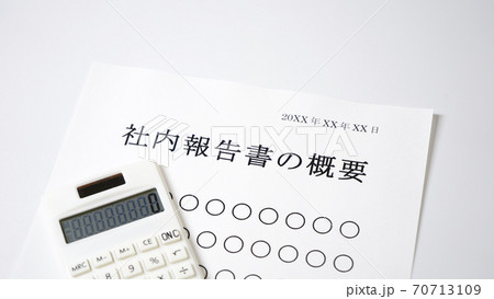 社内報告書の概要について　概要　会社 70713109