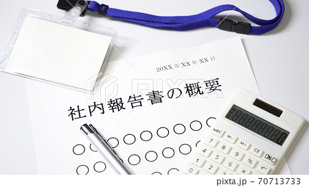 社内報告書の概要について 概要 会社 社内報告書の概要について 概要 会社 70713733