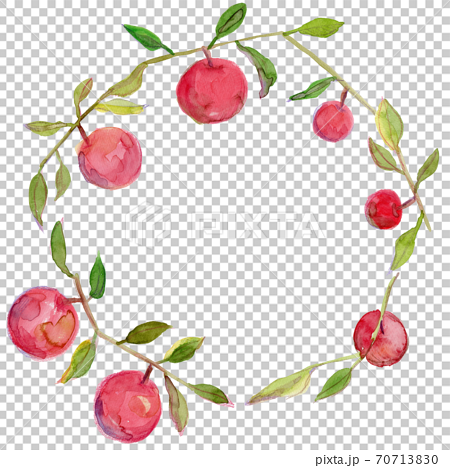 赤いりんごの実った枝のリースの水彩イラスト 70713830