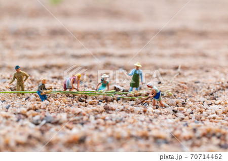 Miniature people : Farmer working plot in the desert with copy space for placement your text, Agriculture concept Miniature people : Farmer working plot in the desert with copy space for placement your text, Agriculture concept 70714462