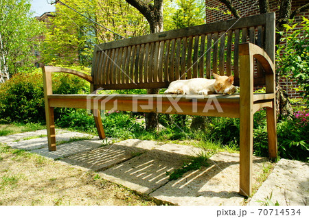 ガーデン 庭園 ベンチ 70714534