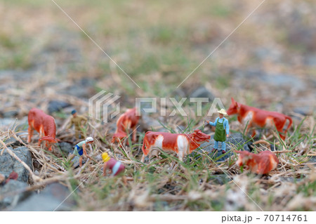 Miniature people : Gardener working on The field , farmer and gardening concept 70714761
