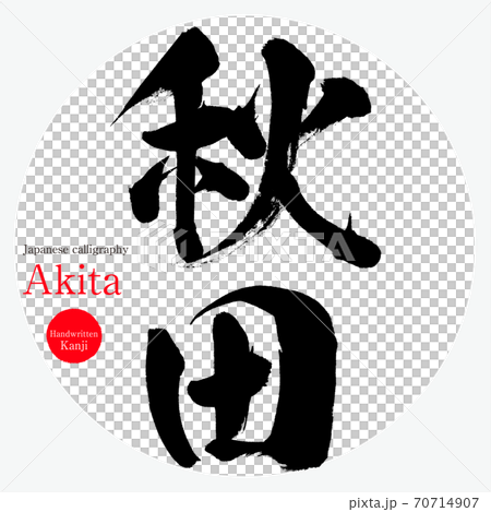 Akita brush best sale