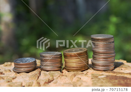 Four rows of coin on tree stump with natural green background ,Pile coins in a graph pattern soared , Growth by amount of savings Four rows of coin on tree stump with natural green background ,Pile coins in a graph pattern soared , Growth by amount of savings 70715178