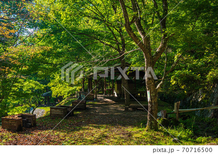 牛伏寺キャンプ場 70716500