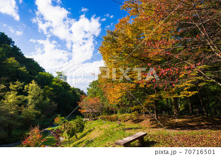 牛伏寺川　秋の水遊び広場 70716501