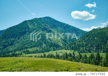 Mountain Altai. 70717502