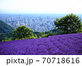 幌美峠のラベンダー 70718616