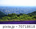 幌美峠のラベンダーと風景 70718618
