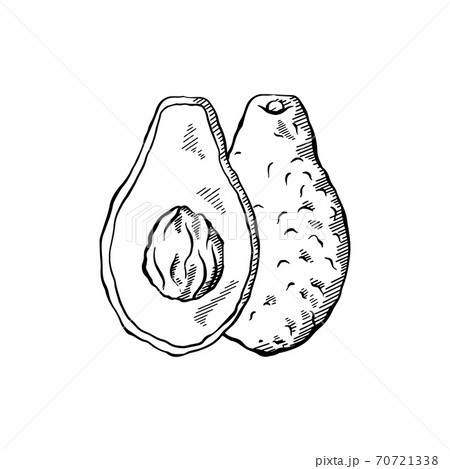 Sketch of avocados with hatching. Various elements of avocado slices with pits. Keto diet. Ingredients for Guacamole. Vector engraving element Sketch of avocados with hatching. Various elements of avocado slices with pits. Keto diet. Ingredients for Guacamole. Vector engraving element 70721338
