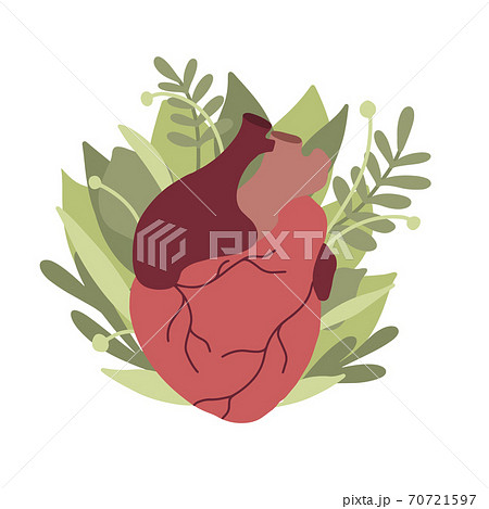 Flat Illustration Of Realistic Heart With のイラスト素材