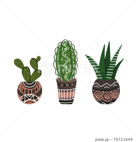 Set of colorful flat cactus and succulent in pots with decorations. Boho style. Vector doodle element 70721649