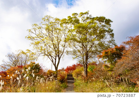 秋の風景、清里高原美し森 70723887