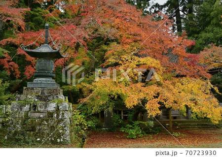 香取市の観福寺の不動堂と紅葉する木々 香取市の観福寺の不動堂と紅葉する木々 70723930