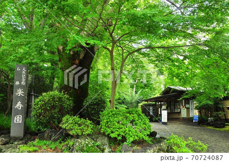 三島市立公園　緑に覆われた楽寿園正門入口 70724087