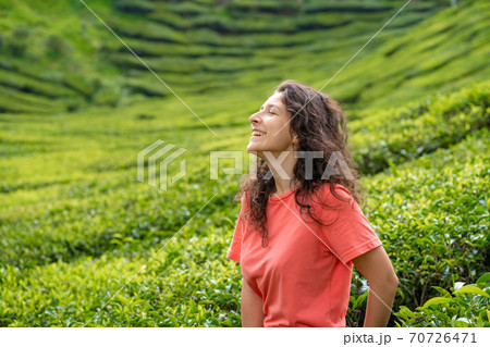 Beautiful brunette girl posing in the middle of the tea valley between green tea bushes. Beautiful brunette girl posing in the middle of the tea valley between green tea bushes. 70726471
