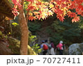 秋の紅葉 70727411