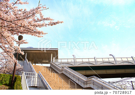 JR稲沢駅周辺、満開の桜の風景 70728917