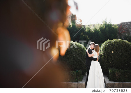 Beautiful romantic wedding couple of newlyweds hugging in park Beautiful romantic wedding couple of newlyweds hugging in park 70733623