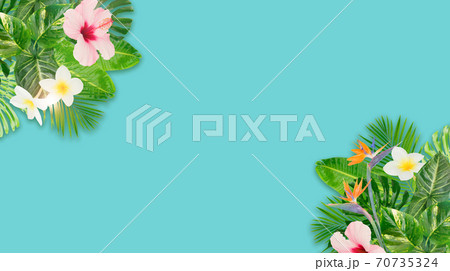 Tropical green leaves Tropical green leaves 70735324