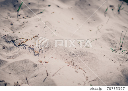 Top view Blur Sand on beach dune with blotches of dry grass shadows, soft focus texture. Background for web design wallpaper screensaver. Toned photo beige Top view Blur Sand on beach dune with blotches of dry grass shadows, soft focus texture. Background for web design wallpaper screensaver. Toned photo beige 70735397