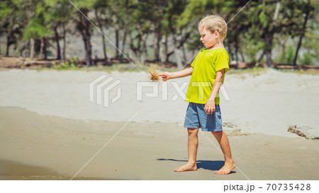 Cute blond boy carefully afraid hold dry plant, playing on beach sand sun day. Facial expressions gestures mischievous. Funny photo, childhood safety care, children behaviour, nature education concept Cute blond boy carefully afraid hold dry plant, playing on beach sand sun day. Facial expressions gestures mischievous. Funny photo, childhood safety care, children behaviour, nature education concept 70735428