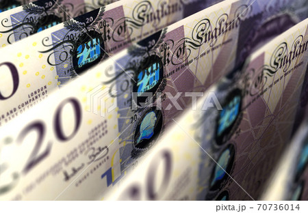 Pound Close-up Pound Close-up 70736014