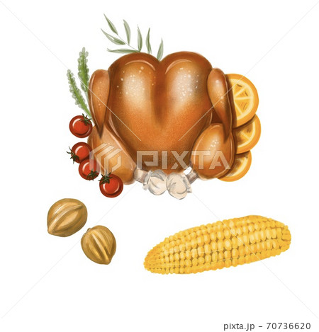 Isolated Illustration Thanksgiving Day  or Christmas dinner. On a white background: turkey, corn, tappery, nuts, tomato and oranges.  70736620